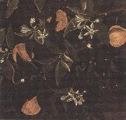 Sandro Botticelli Details of Primavera (mk36) Sweden oil painting artist